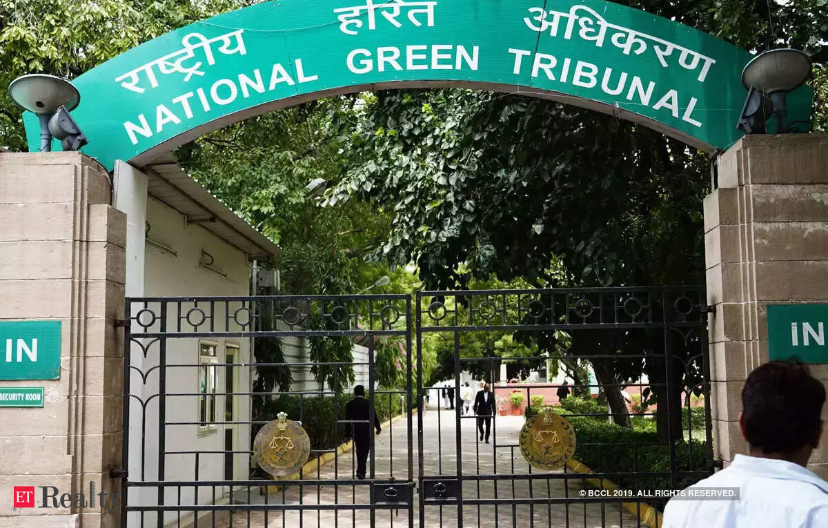 NGT asks environment ministry to frame guidelines for plywood industry