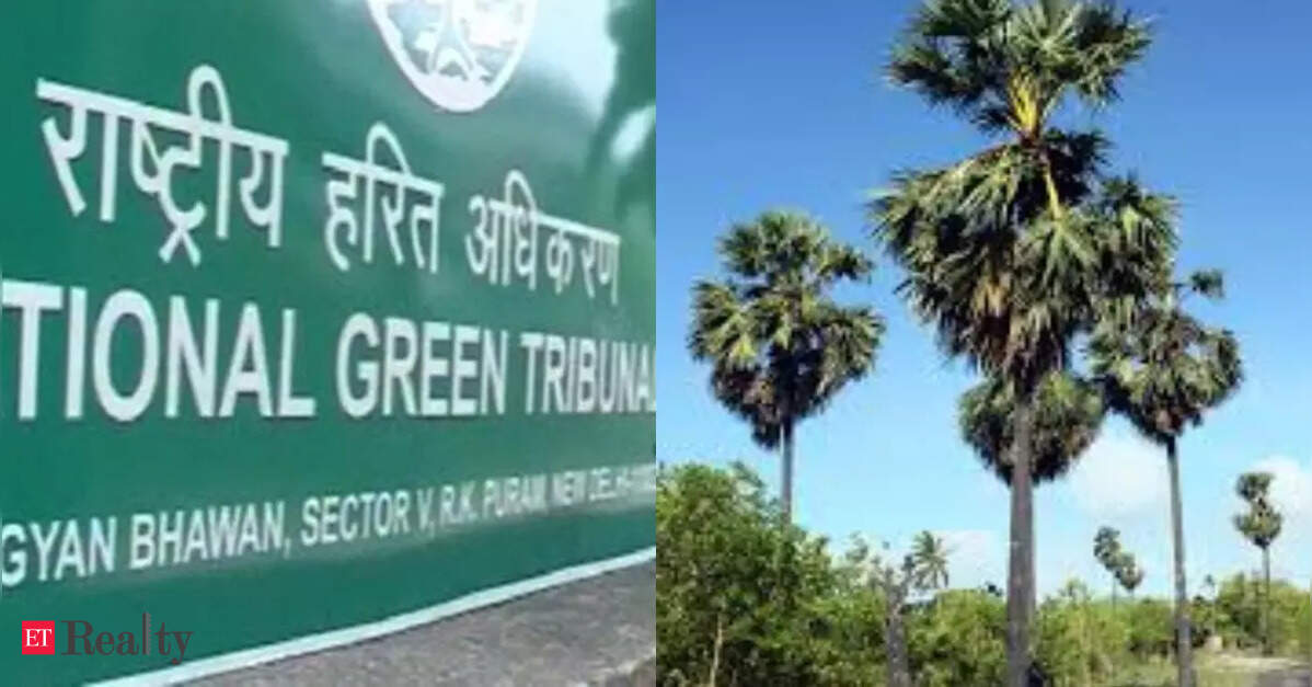 NGT Orders MoEFCC to Reassess Gurugram Housing Clearance