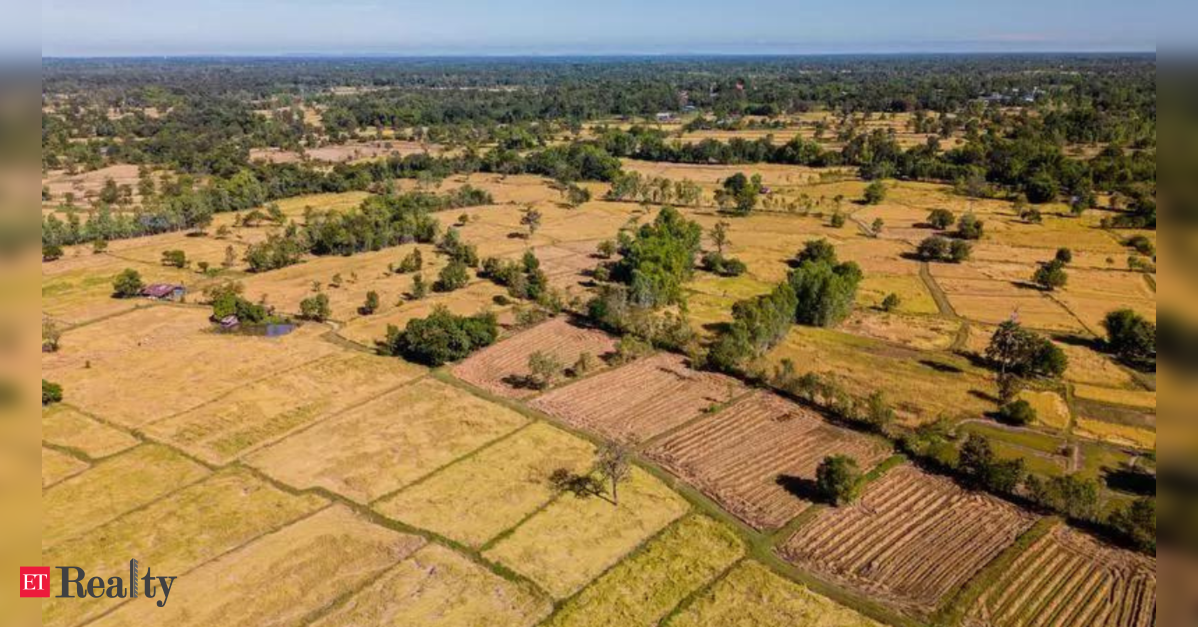 Odisha Drafts Law to Simplify Land Management